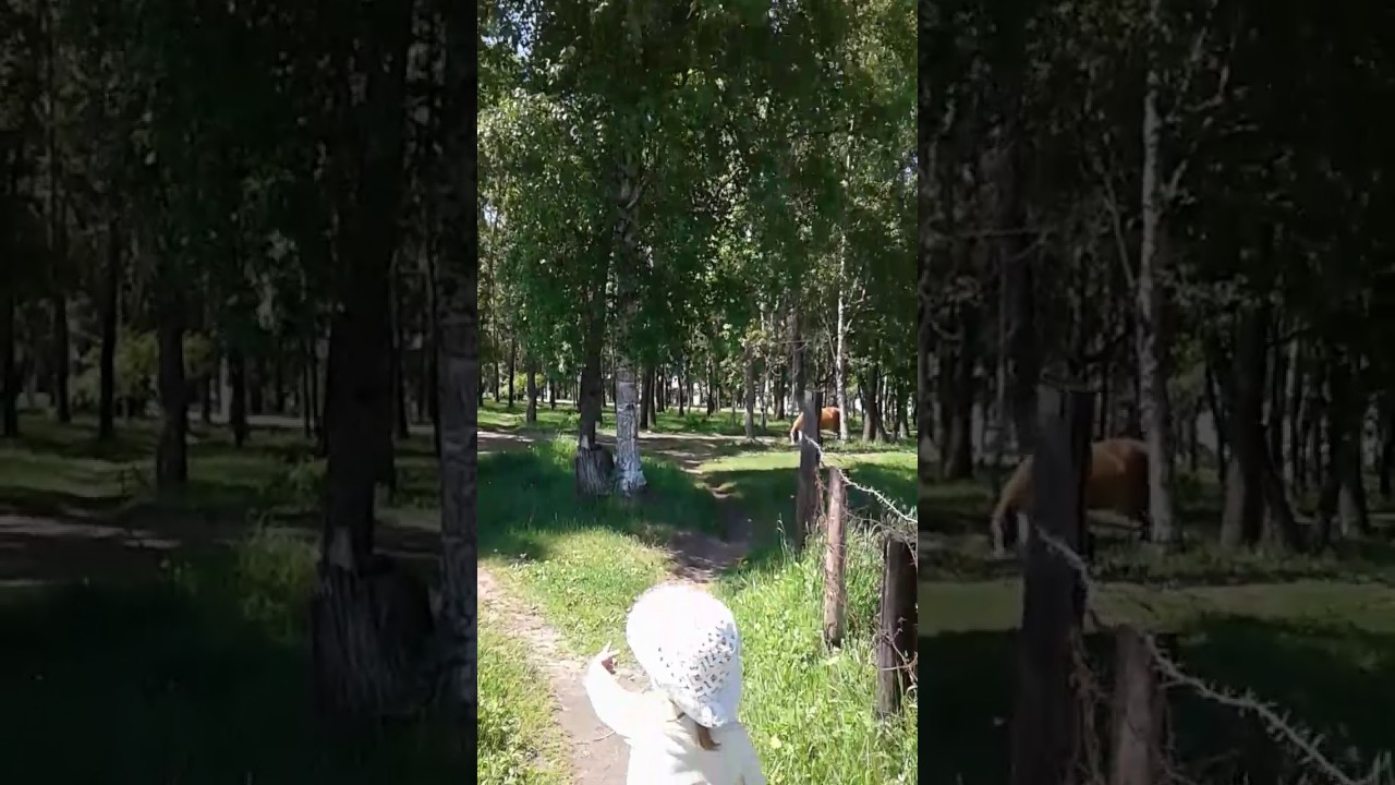 Парк перевал слюдянка Парк перевал слюдянка